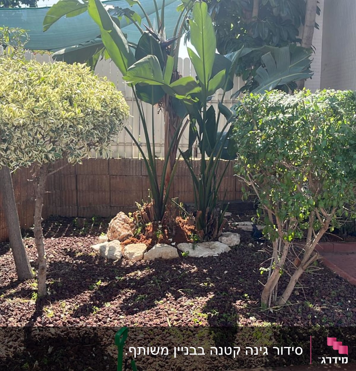 עצים ושיחים בגינה עם חיפוי קרקע מאבנים